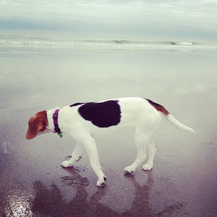 e49cd580470711e2a03b22000a1f92d6_6