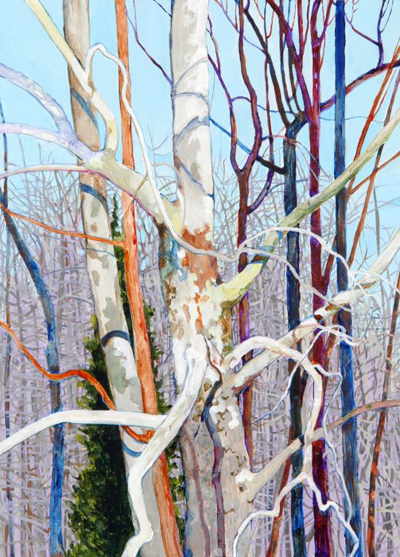 Bradford-013_503_700_85