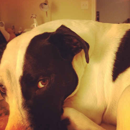 Paint meh like wun of ur French girlz.